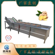 辣椒山野菜蒲公英果蔬清洗机商用蔬菜全自动喷淋式气泡冰淇淋机