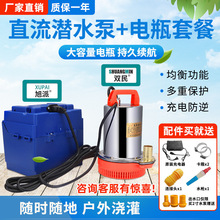 ֱ����ˮ�ó��ˮ��늳�12V24V48V60V�ƿ܇�r�Ý���С�ͳ�ˮ�C