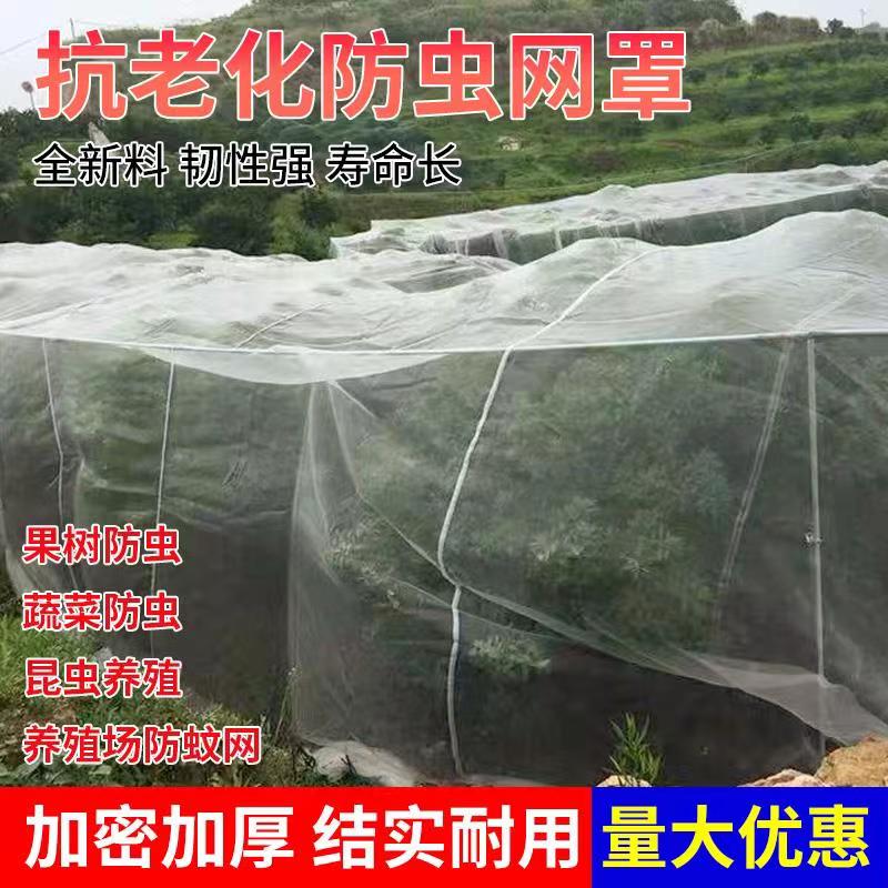 j8果园大棚养猪场加厚果树水防虫网抗老化防鸟罩防蚊网网罩g3
