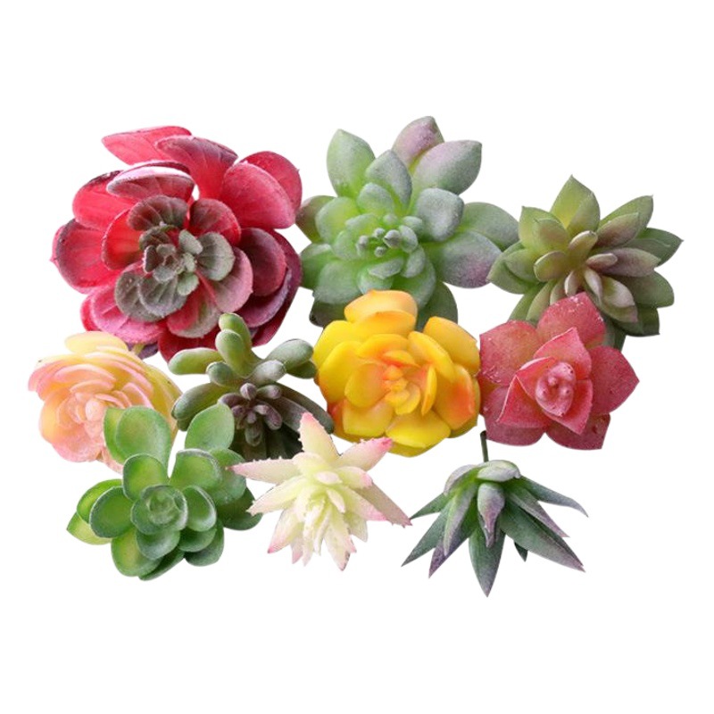 シミュレーション多肉植物卸売り小多肉優品偽緑植壁室内外装飾組み合わせ植毛リアル肉