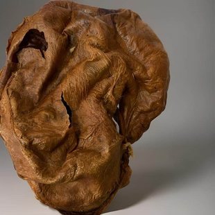 ����÷��¹¹̥�ۼ�����¹̥����¹̥�P���r¹̥ȫ¹�������ɴ��