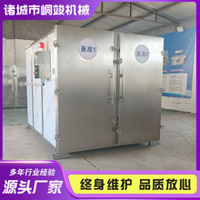 全自动红枣蒸汽式蒸箱 双门双车黄精蒸房 中药材蒸箱 人参蒸柜