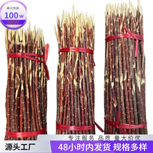 ֦tttľǧ󴮟ᘳt^Ϳ1½