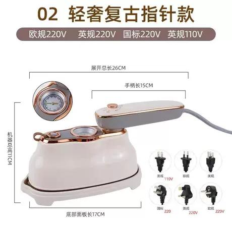 6218a pointer garment steamer