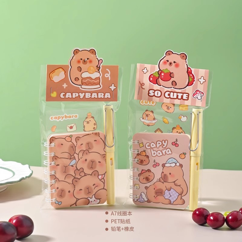 새로운 깜짝 크리스마스 문구 세트 판다 카피바라 학생 기념품 학습용품 문구 선물