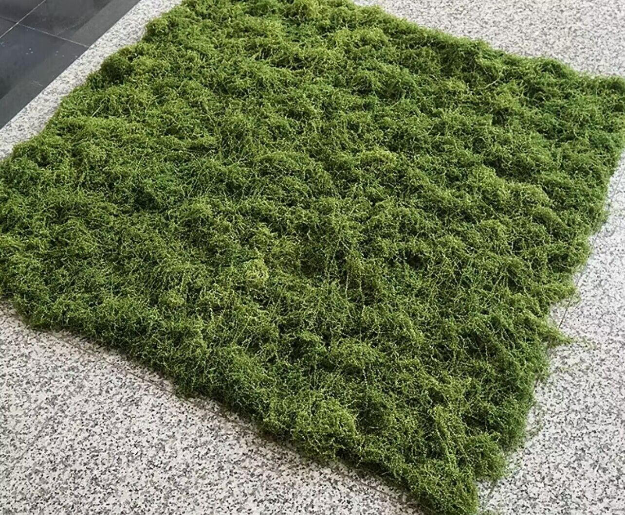 QQ图片20240113143112