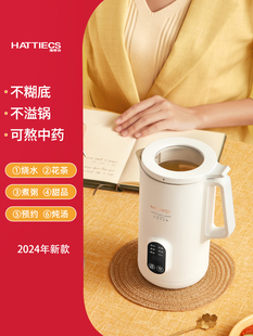 Japan's New Health Pot Household Multi-functional Tea Maker Office Small Mini Burning Cup Scented Tea Electric Pan-frying Pot