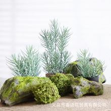 ����ֲ���ֲ��Gֲ�҃����b��J�CС���Է��滨��ֲ�����ֲ��