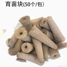 �羳�o������Nֲ̿����̿�d��������Nֲ�d����I�B���������F��