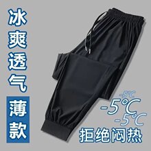 运动休闲哈伦裤子女裤夏季薄款宽松弹力大码工地干活裤子耐磨耐脏