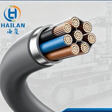 1000�f��������ο�����| HH1002.20.0030 20*0.3mm2����ɫ��