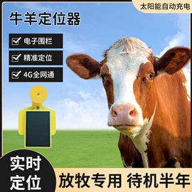 GPS定位器;其他汽车通讯
