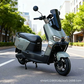 电动自行车;电动三轮车;电动摩托车