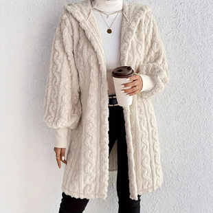Aliexpress Wish Ebay2025 Autumn and Winter European and American Clothing Pure Color Long-Sleeved Hooded Loose Plush Velvet Jacket for Women