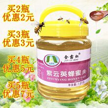 金露虹紫云英蜂蜜1000g2斤装500g 柚子茶蜂蜜膏 礼盒装农产品蜜糖