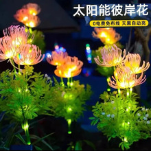 2024�¿�̫��ܱ˰������滨�����b�ͥԺ�}�Q���ղ�ƺ�~���ز��