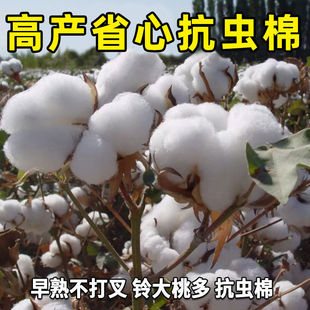 ǧ��Нh�޻��N�Ӹ߮a�އ������x�޻��N�Ӹ߮a��������ބ�1010