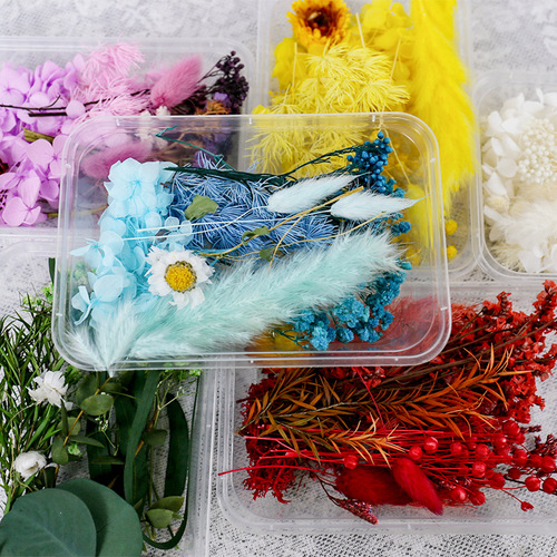 Eternal flower dried flower full star DIY material box fragrance drop glue rose dried flower forget-me-not photo frame fan decoration 