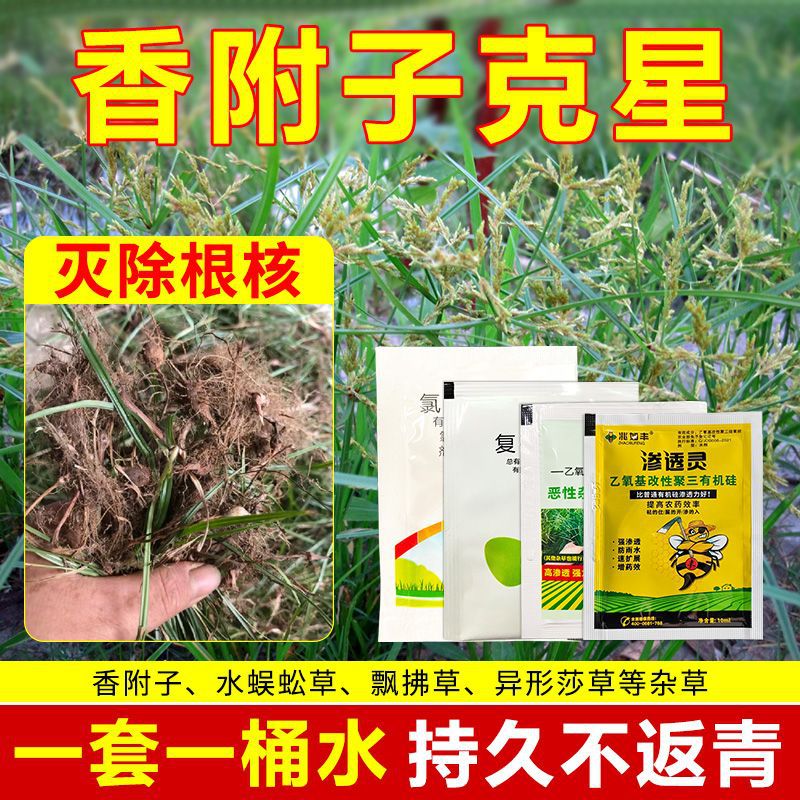 172701b9-ecad-4eff-93fe-0bc98e