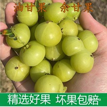 ���r��ժ���͸ʹ���ʹ�ţ�ʹ����ϙ쮔���͸���ˮ������Ӱ��]