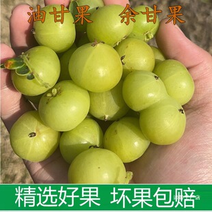 ���r��ժ���͸ʹ���ʹ�ţ�ʹ����ϙ쮔���͸���ˮ������Ӱ��]