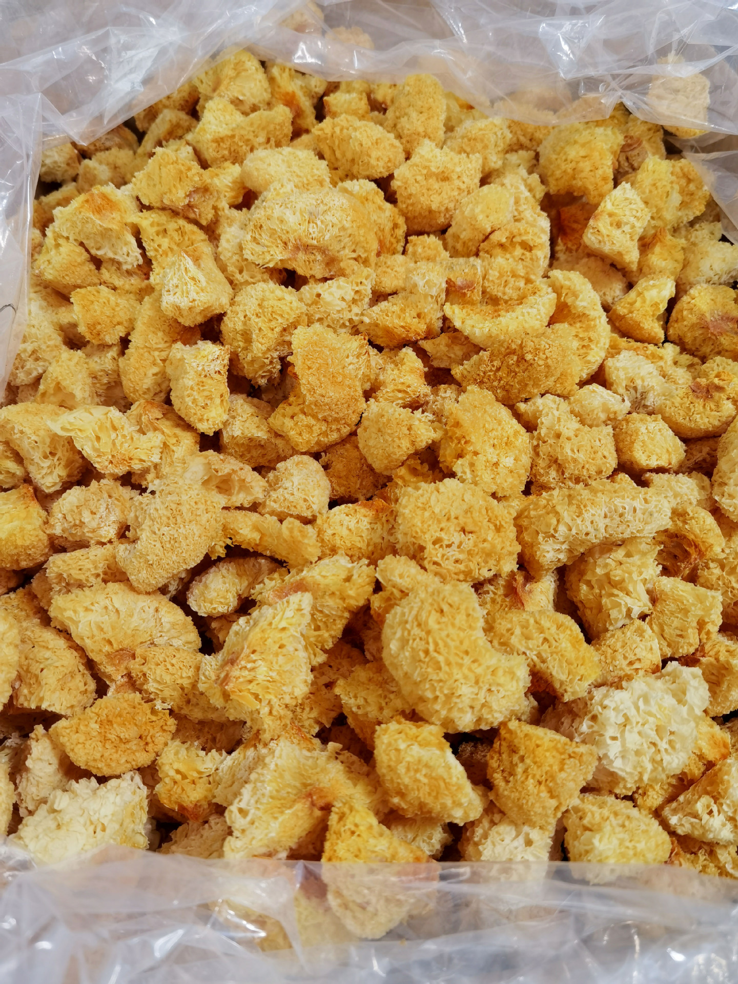 d77f2448b802f99863a434c6b614f1