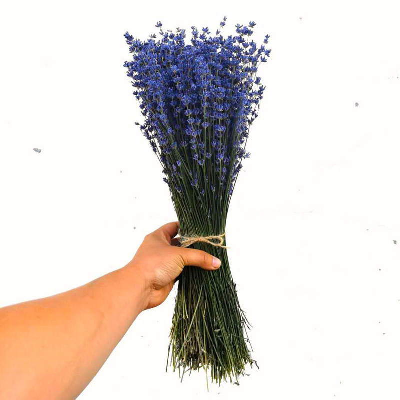 Lavender dried flowers natural air -dried flowers bouquet peace