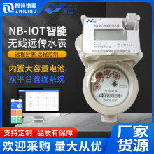 ���ܟo���h��ˮ���ԁ�ˮ�SNB-IoT���W��ʽ�h���xȡ����ˮ�픵�@