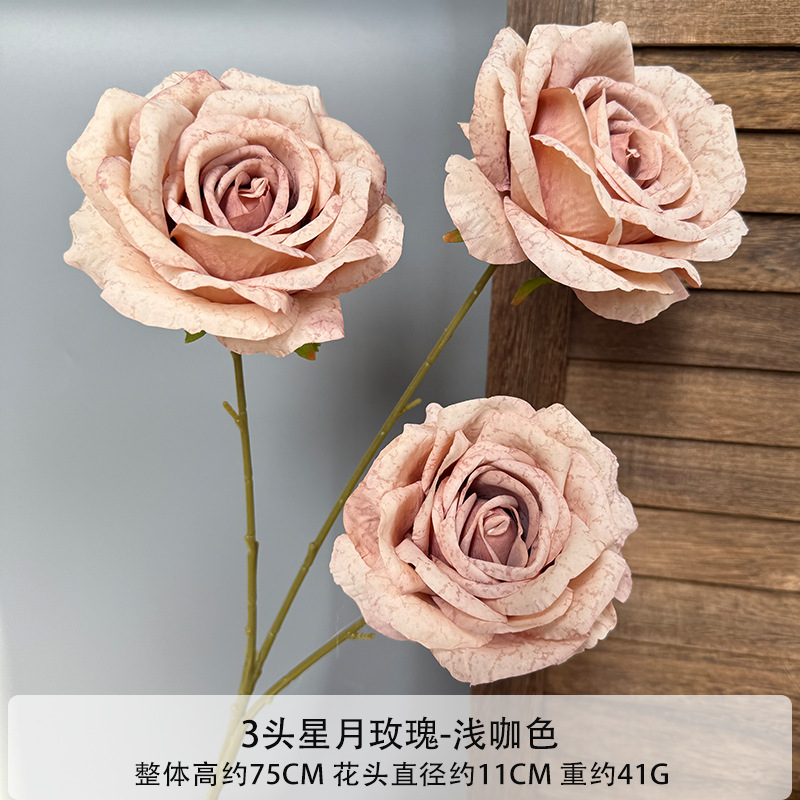 별과 달 장미 3송이