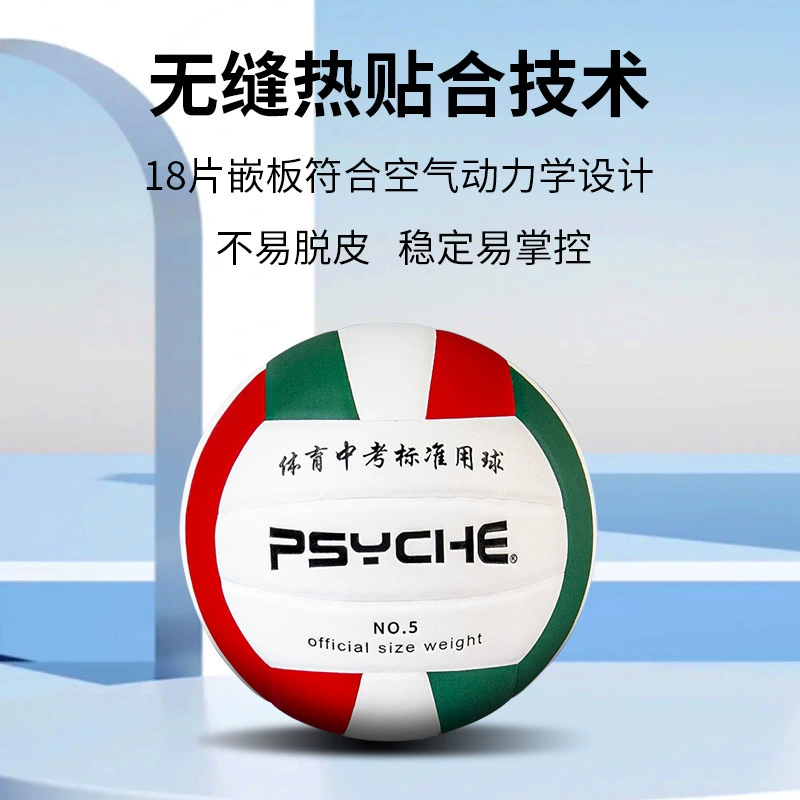 [PSYCHE5]
