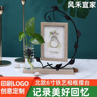 厂家直供创意北欧6寸铁艺相框摆台 相架双面相框水培植物相框批发