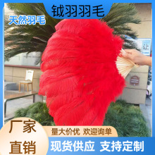 鸵鸟毛彩色羽毛扇子舞蹈酒吧演出羽毛扇子网红旗袍直播拍照折扇