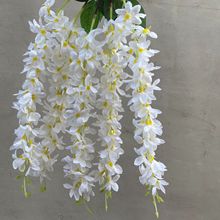 �������ٻ� ����ڒ� ������c�b��ٗl ���� �S��ֱ�N