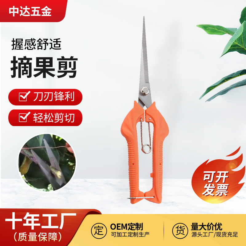 园林工具不锈钢采摘剪带锯齿直头果树修枝剪树枝剪苹果剪园艺工具