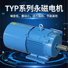 永磁交流电机TYP系列永磁变频同步电动机