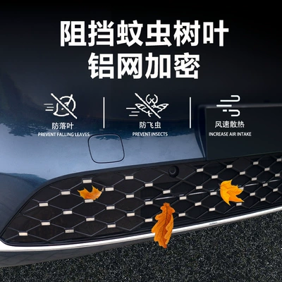 Decoration, No Disassembly Required, Integrated — Automobile anti-insect net