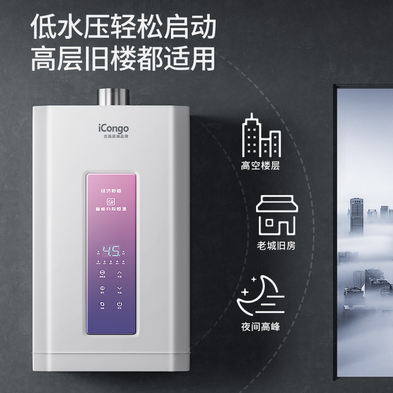 志高iCongo燃气热水器天然气家用浴室平衡式煤气液化气零冷水12L