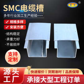 SMC复合材料电缆槽 通信电揽管箱高速铁路走线槽盒槽式梯式桥架