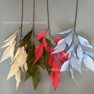 â���~��c�Y�õ�픻����b����~�ļҾӿ͏d��@�b��滨���l