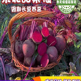 ���o����ζ���|����˸����r�t������^�t���^�ϲ��^�r�ґ����߲�