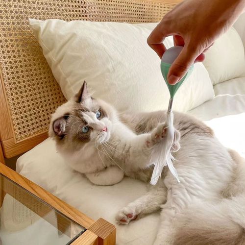 New Cat Toy with Feathers and Yo-Yo, Self-Having, Entertaining, Interactive, Chewable, for Young Cats, Intelligent Cat Toy