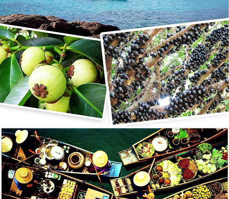 bd283180-850c-4e6c-a5c7-4d72b6865545.jpg?x-oss-process=image/format,png