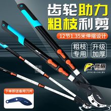 ձMڴ֦X݆sʿӈ@ֹ֦