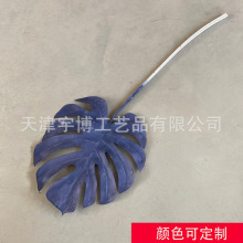 �����~��ɫ ����Gֲ�~�����Q�羳���R�d���l�������͔zӰ�b�