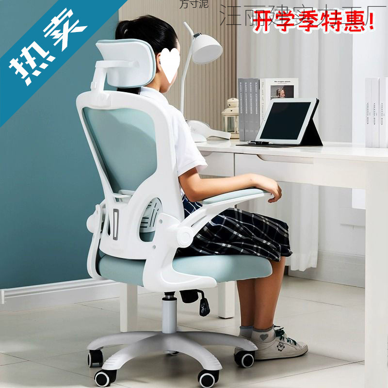 Learning Chair for Primary and Secondary School Students, Ergonomic Chair, Learning Chair for Junior High School Students, Office Backrest, Liftable Computer Chair