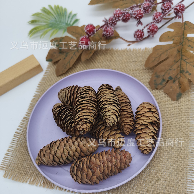 4-6cm spruce
