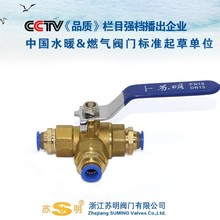 PC���ٽ��^�K����ͨ���y�֚�K��Ú�ܿ��Q�_�P�y�T6810�ք��y