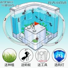 ��С���x���Λρ�����Ǳ�����C�҈@�e���������Bρ����