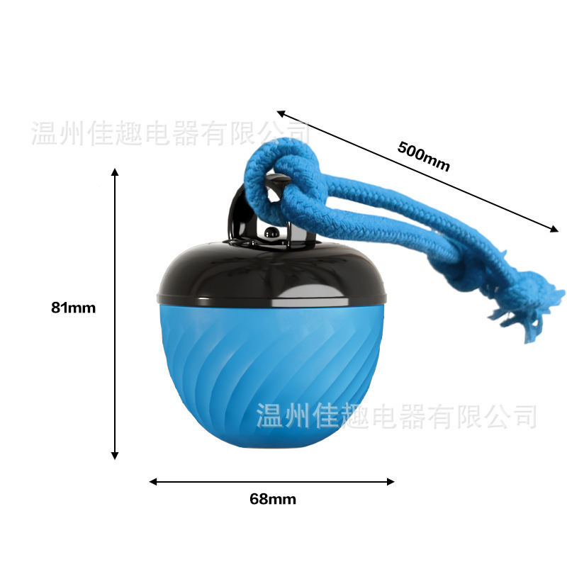 跨境智能耐咬逗绳子狗球磨牙发声玩具宠物智能滚动球电动狗狗解闷|undefined