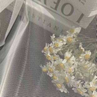 ��]����С����ͺϾW��Ů�b����